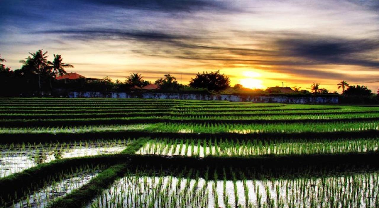 Ngeluwungan Boutique Hostel Canggu  Luaran gambar
