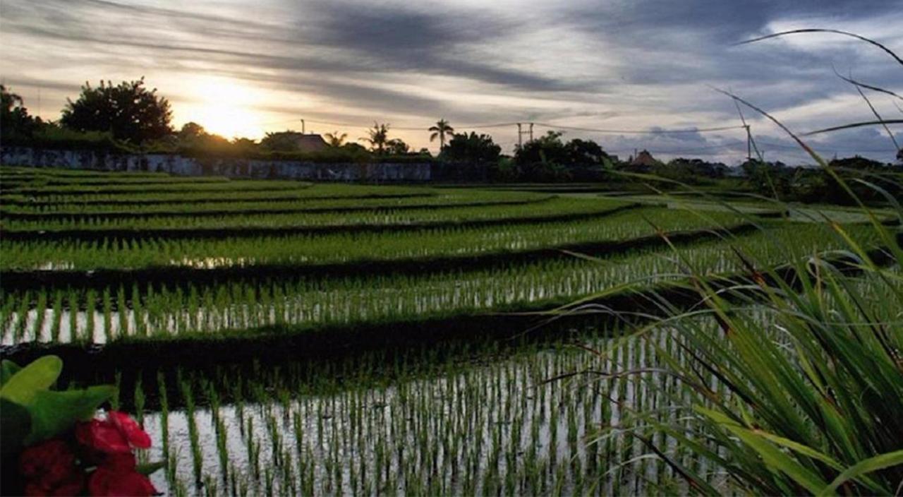 Ngeluwungan Boutique Hostel Canggu  Luaran gambar