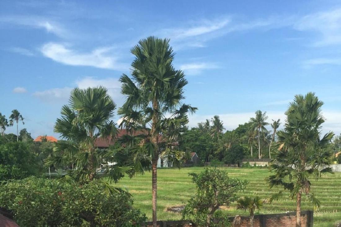 Ngeluwungan Boutique Hostel Canggu  Luaran gambar